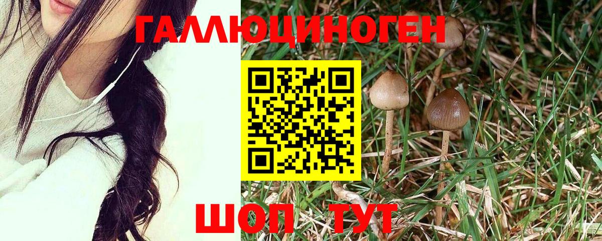 Мелеуз  Галлюциногенные грибы Psilocybe  Вход с VPN 